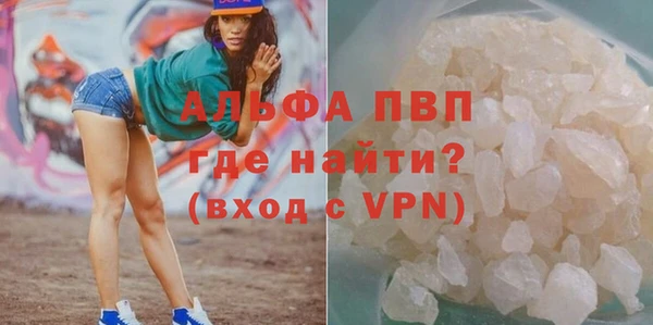 сатива Балахна