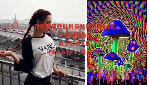 сатива Балахна