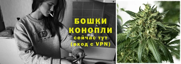 сатива Балахна
