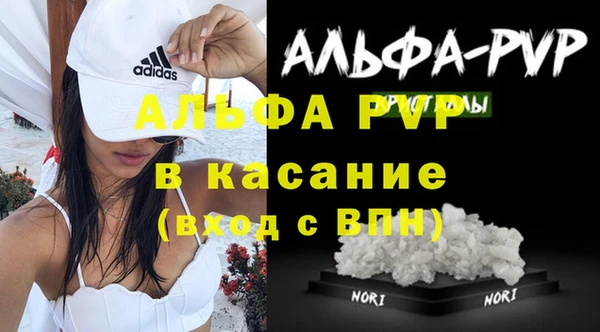 сатива Балахна