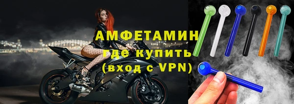 сатива Балахна