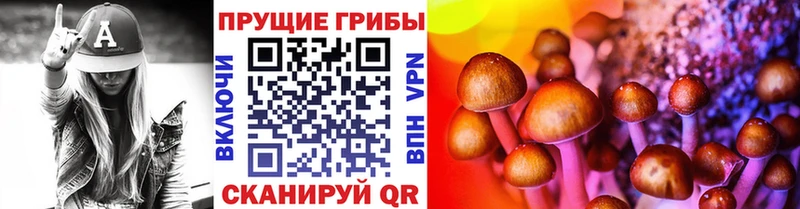 Галлюциногенные грибы Psilocybine cubensis  даркнет сайт  Озёрск 